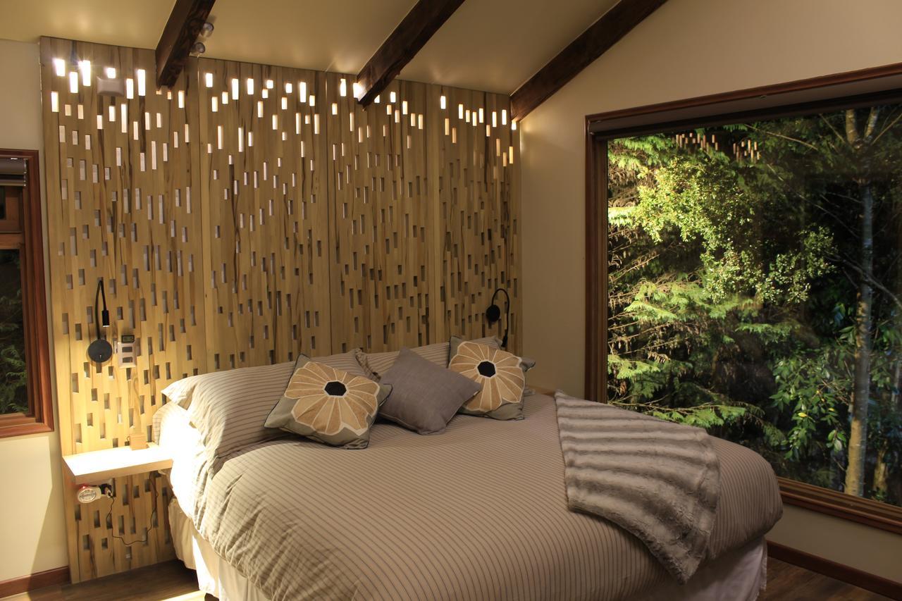 Dreamwoods Villa Puerto Varas Exterior photo